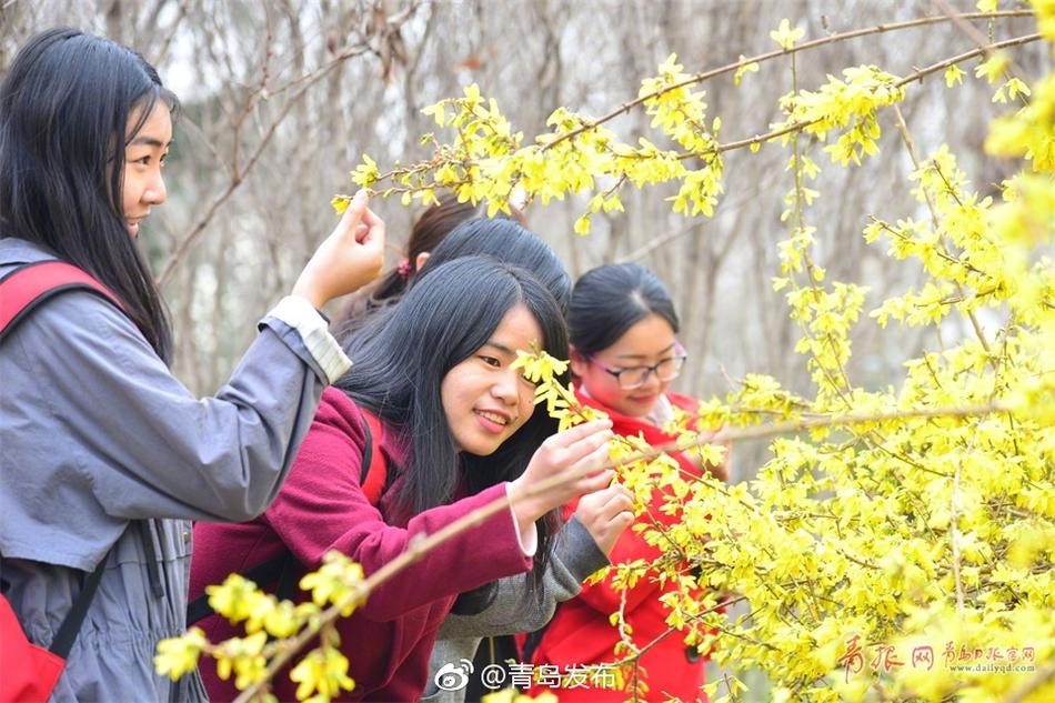 China熟妇熟女Hd