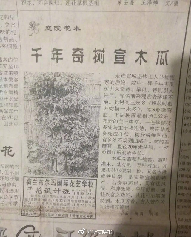 国产一级大片