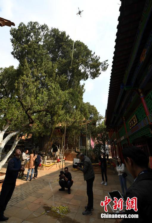 小林尊