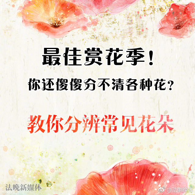 鷹宮唯