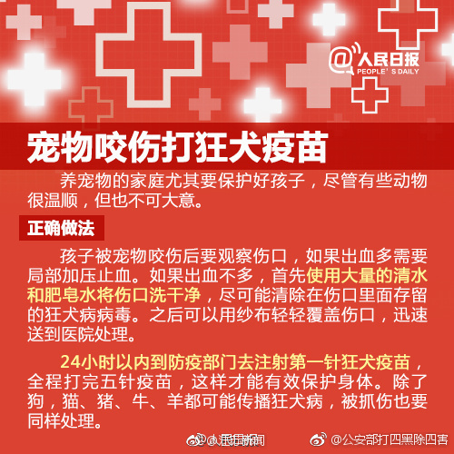 欧美牲交