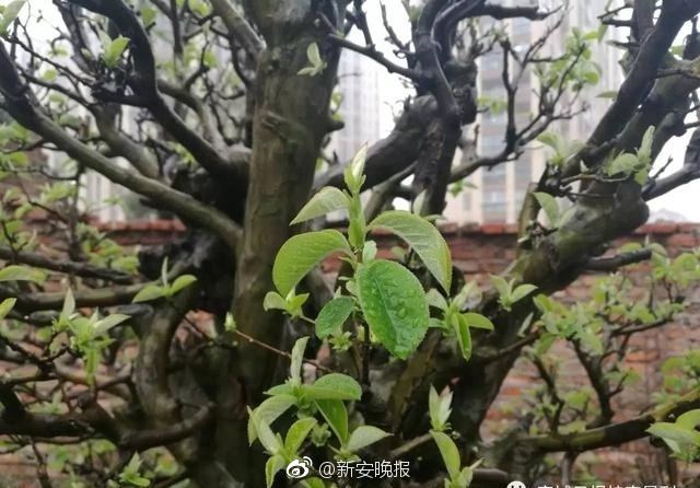 性爱Xxxx