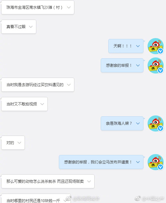国产成人91 张津瑜