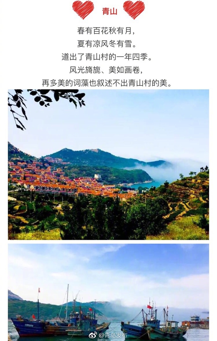 张柏芝54张无删码图在线看