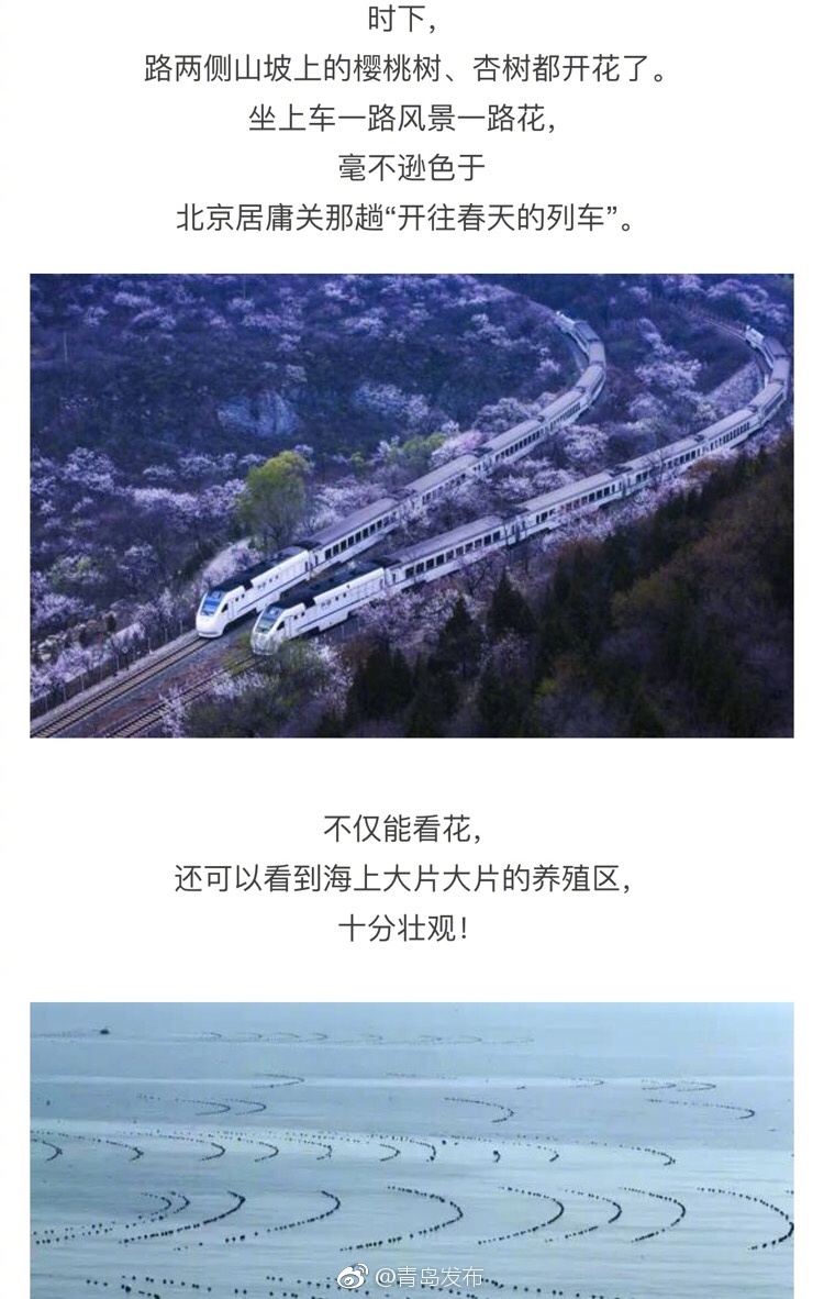 91在线观看