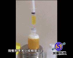 亚洲无码黄色网站