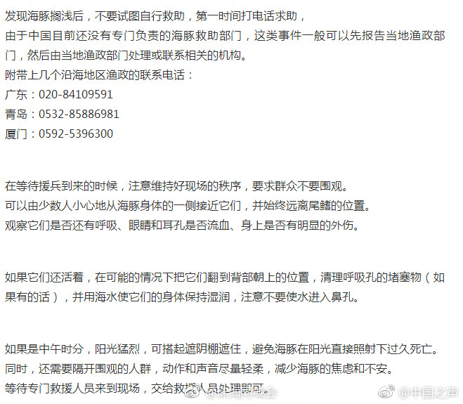 多人混戰長片