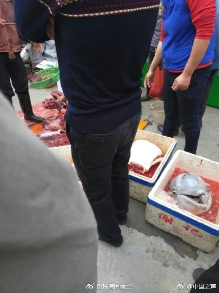台湾电影伦理X电影