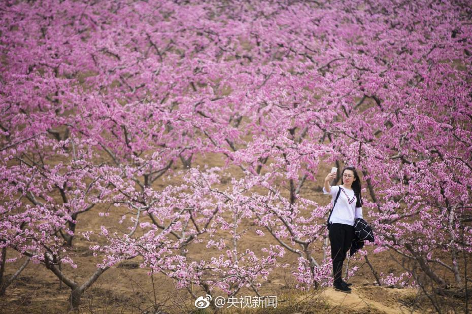 英韩操逼小说