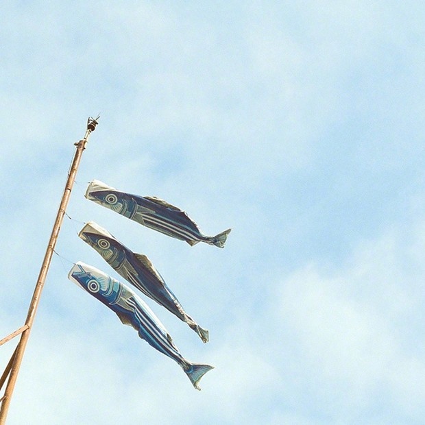 Asukakiraran 已验证