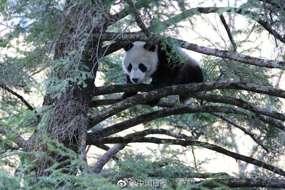 www.huangse