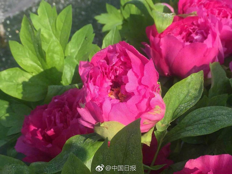 欧美性派对