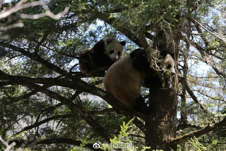 每次他吸我奶头很享受