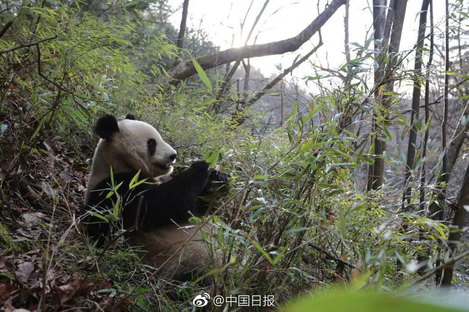 五月激情综合