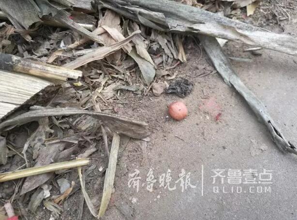男女十八禁国产精品视频