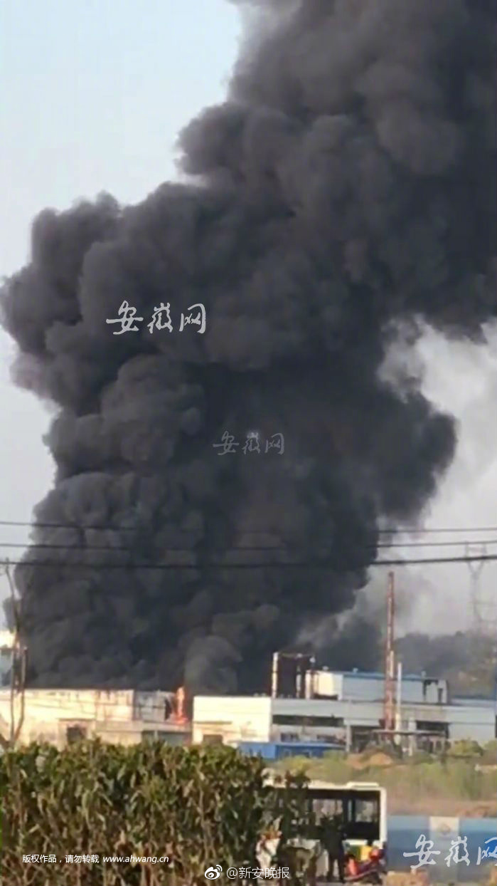 黑人系列