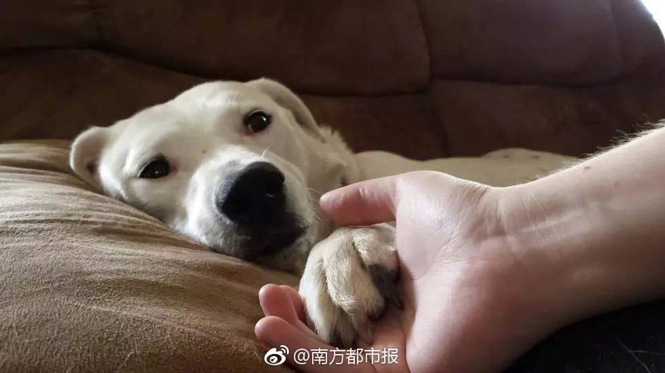 金善英