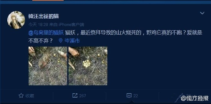 天美传奇传媒官网免费浏览网站旅行社