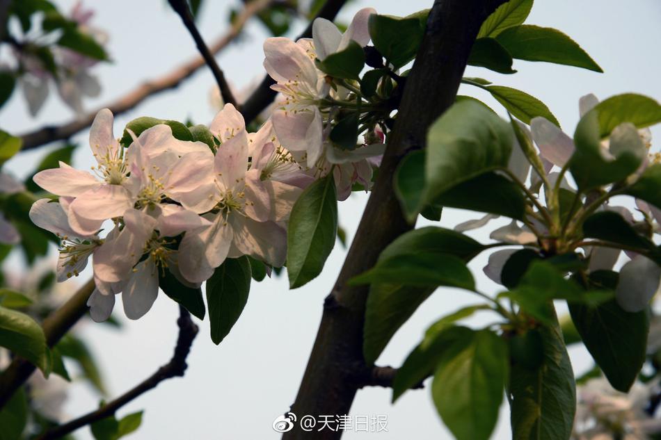 欧美黄色喷潮片
