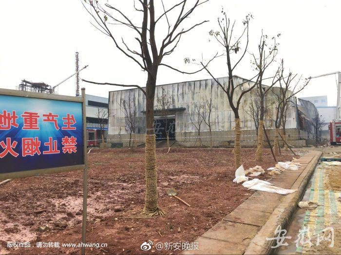 女人扒开腿秘 让男人桶国产网红