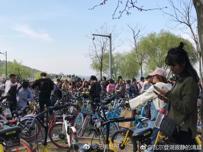 国产精品   精品软件视频