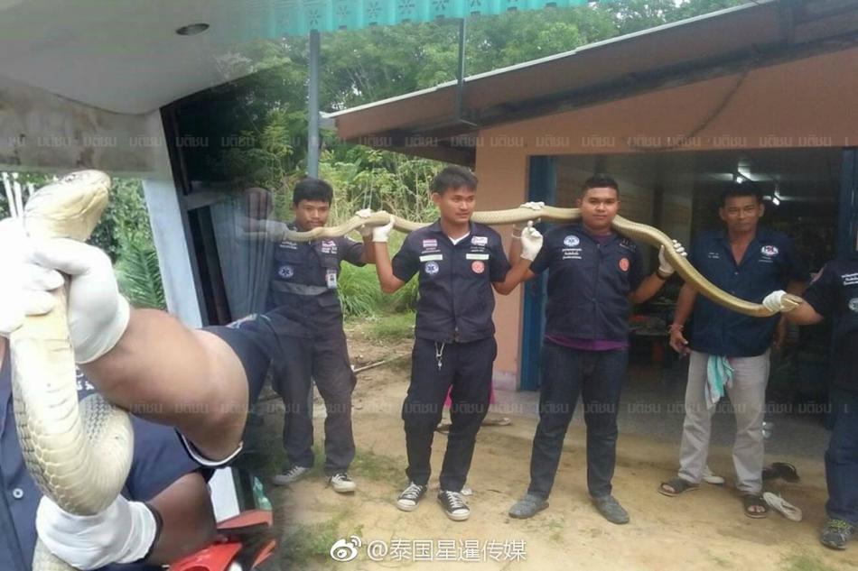 黄色全部无码网站
