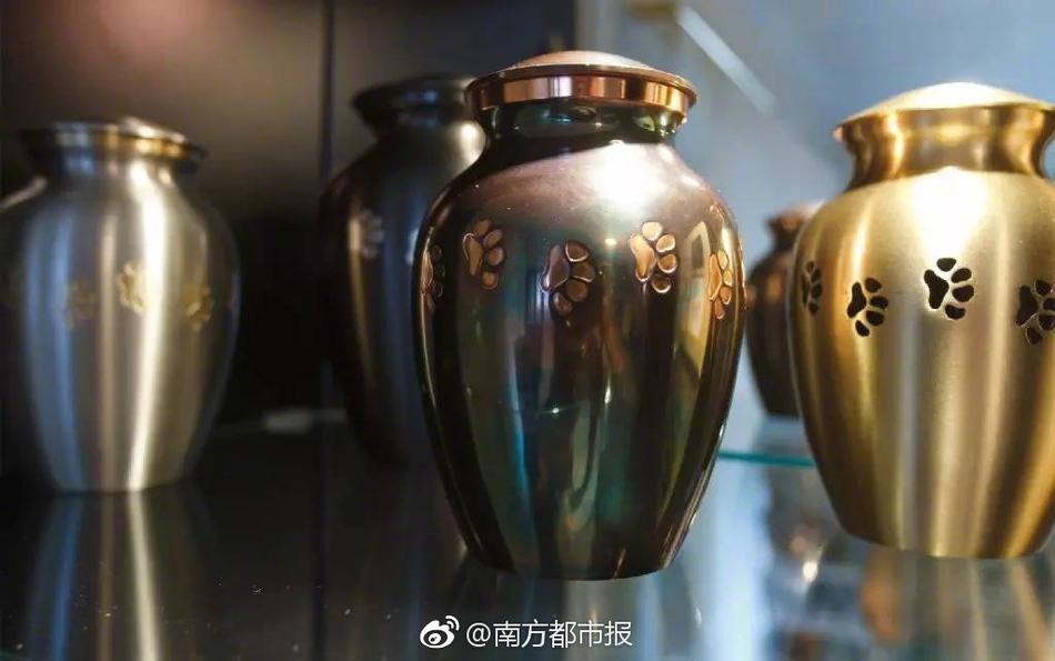 Free Hd Xxxx China麻豆