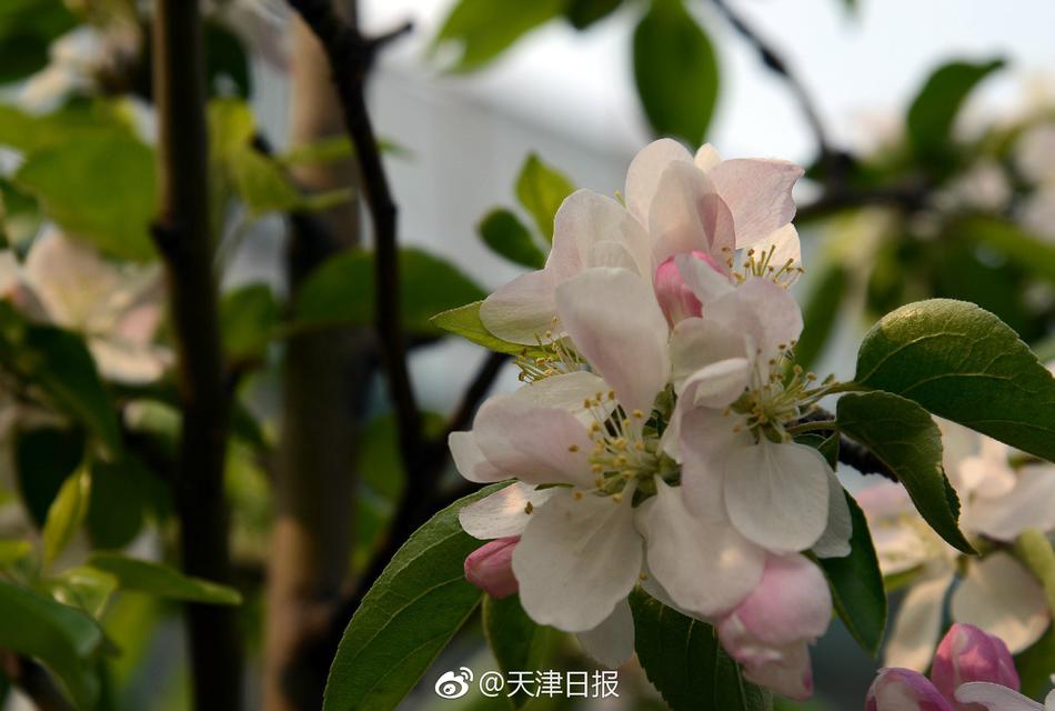 大場唯