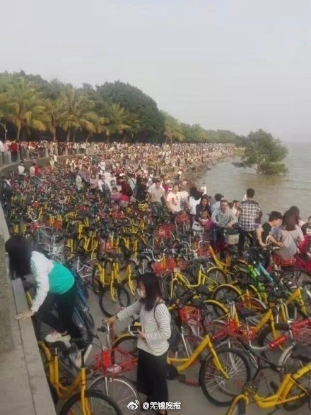 李蓉蓉