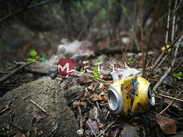 性爱视频一区二区无码