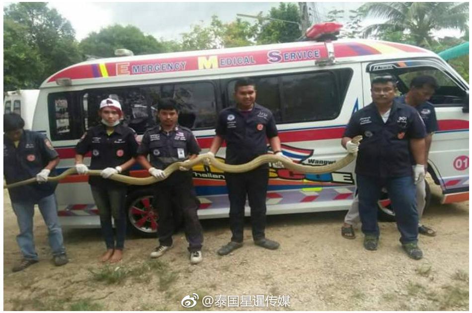 极品女教师裸体瑜伽