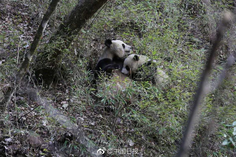 免费观看欧美日韩三级片网站