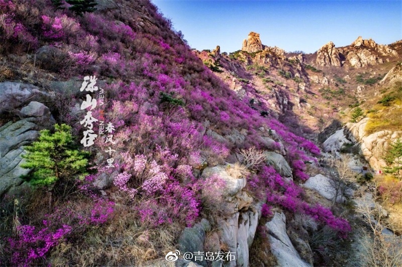 免费 成人 色情 网站