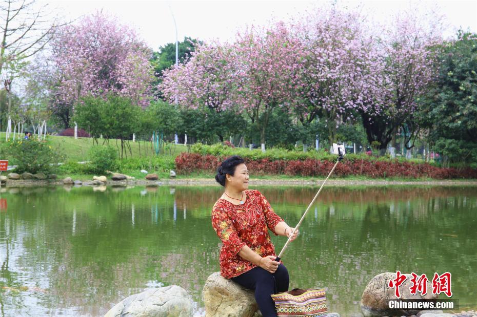 一级免费电影