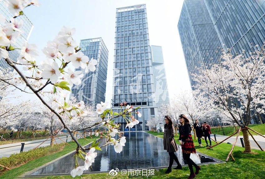 黄色Av免费在线下载