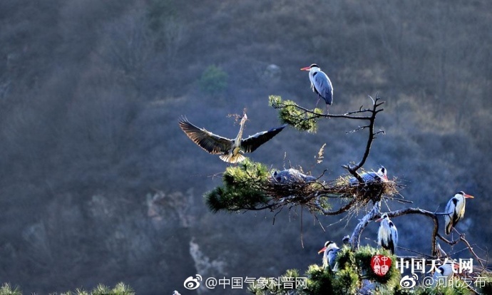 黑巨茎大战欧美白妞