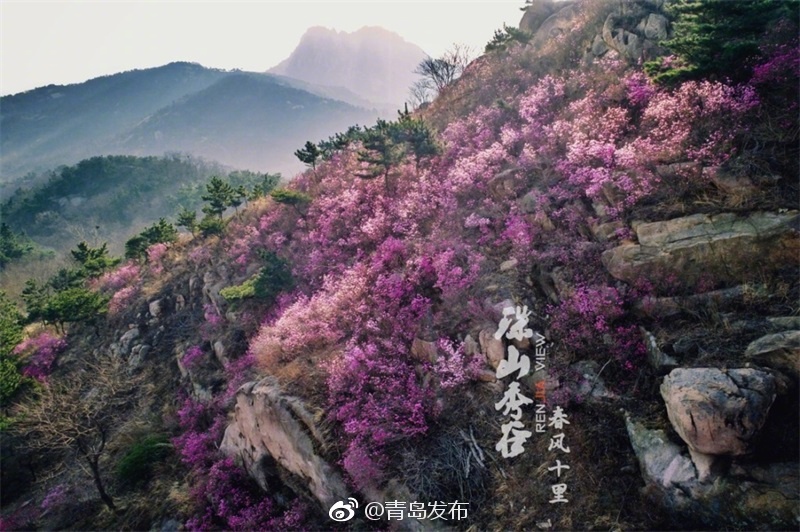 欧美黑人的黑大屌日狗B