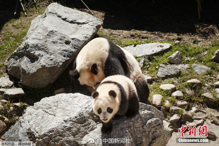 成人 色情美女电车侵犯