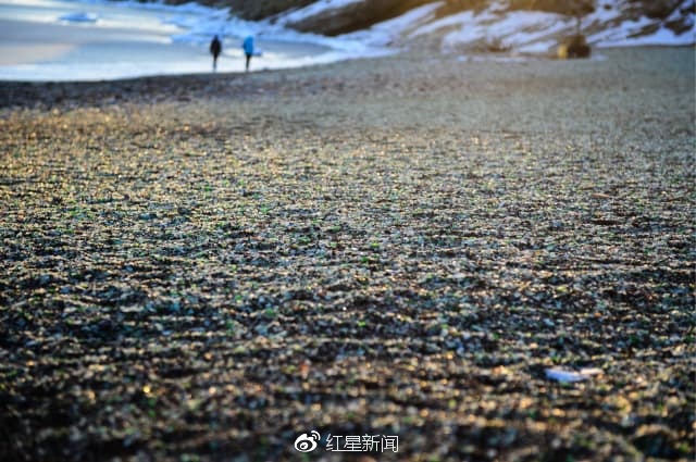 扒开老师
