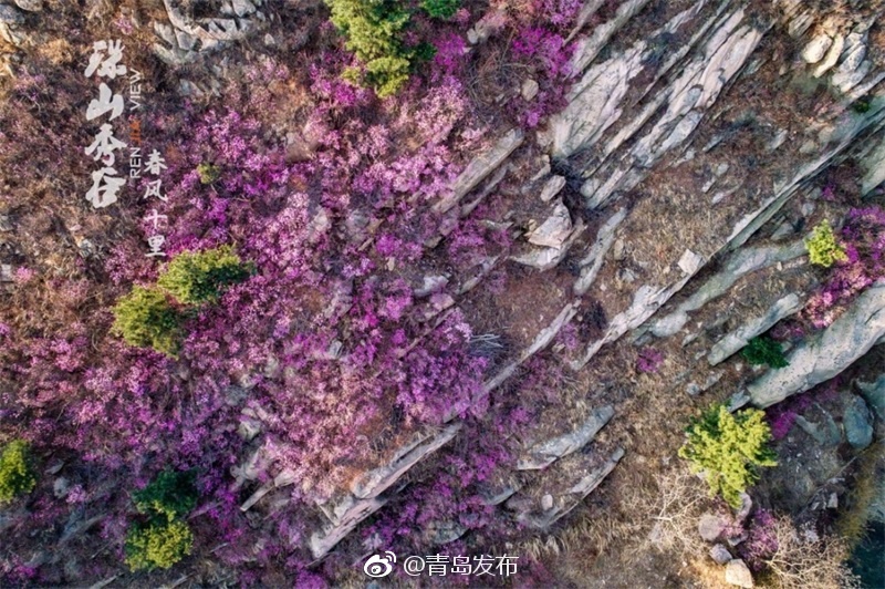 ?交Videos老少配一区二区