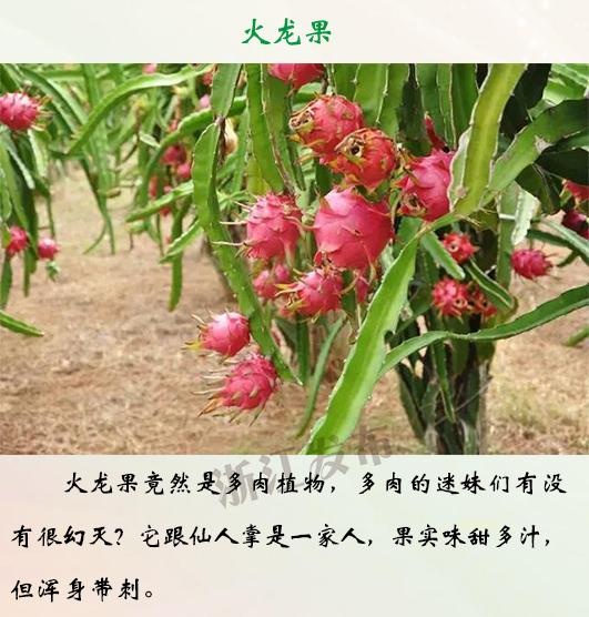 口述与子做过爱过程性