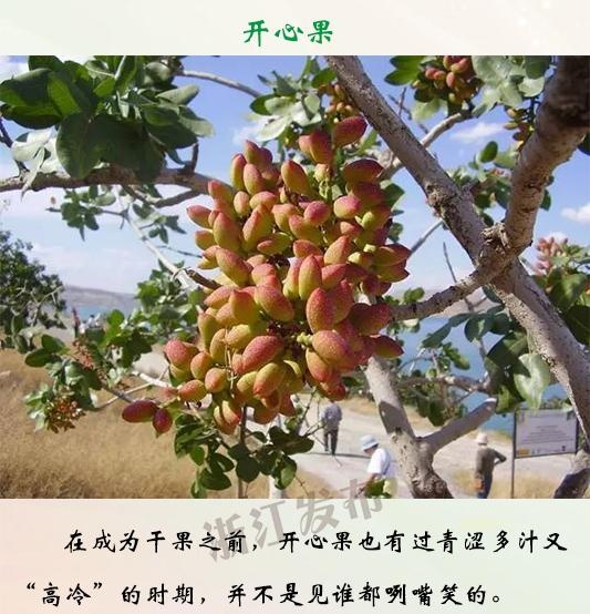 美女裸睡网站