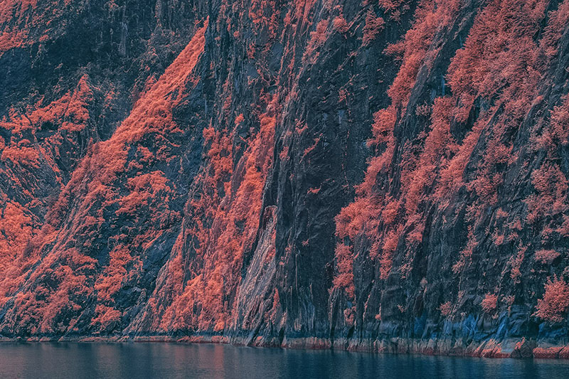 亚洲欧美三级片