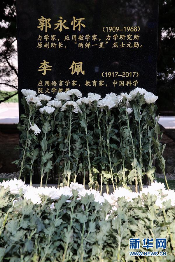 无码AV加勒比波多野结衣月刊