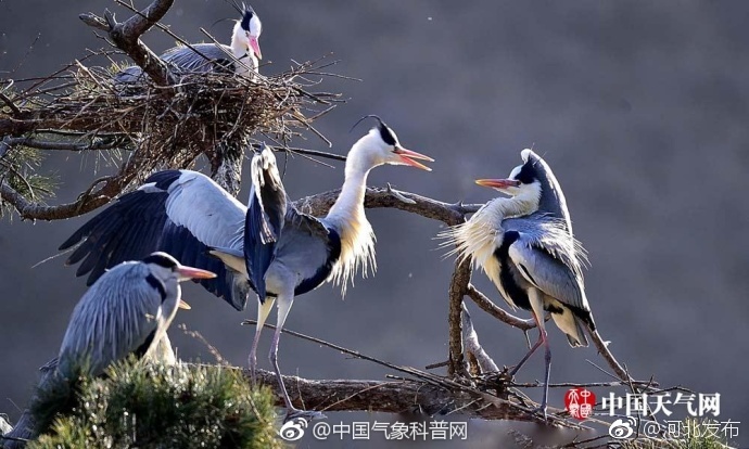 搡80老熟女老妇女老女人