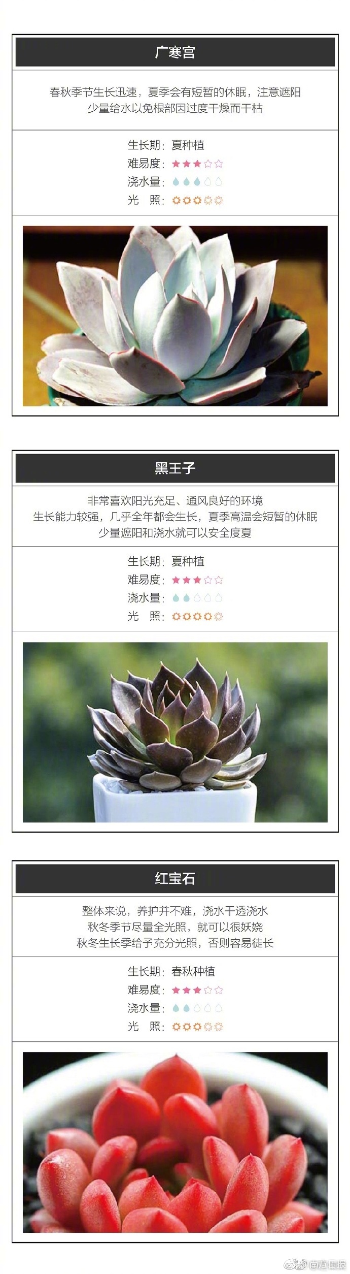 在线高清观看免费黄片