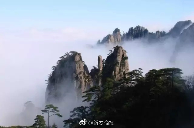 佳苗琉華