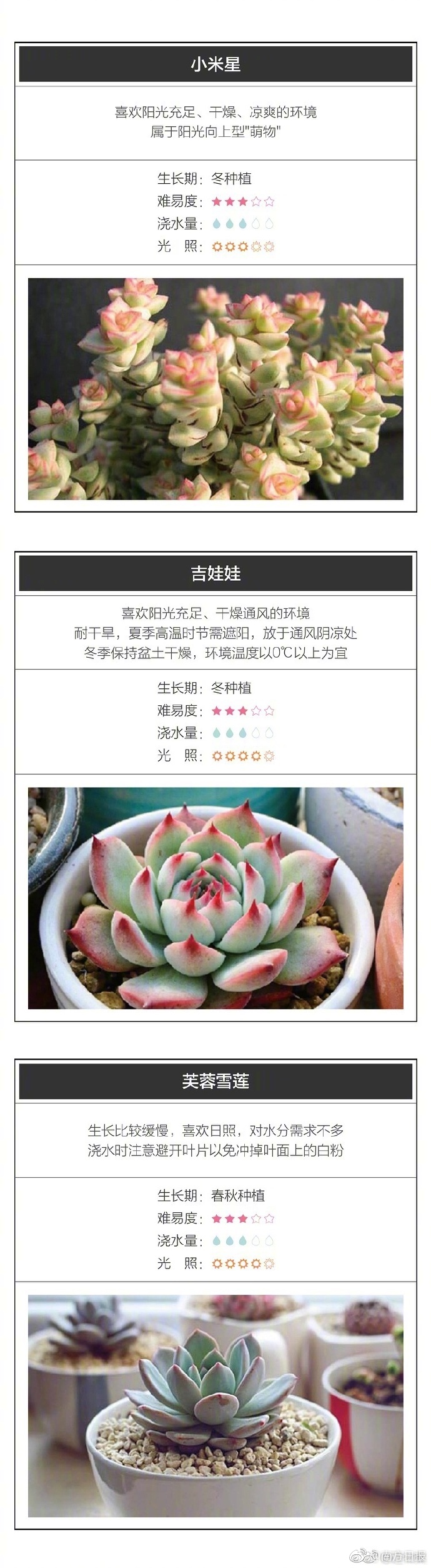 Freesex大尺度国模