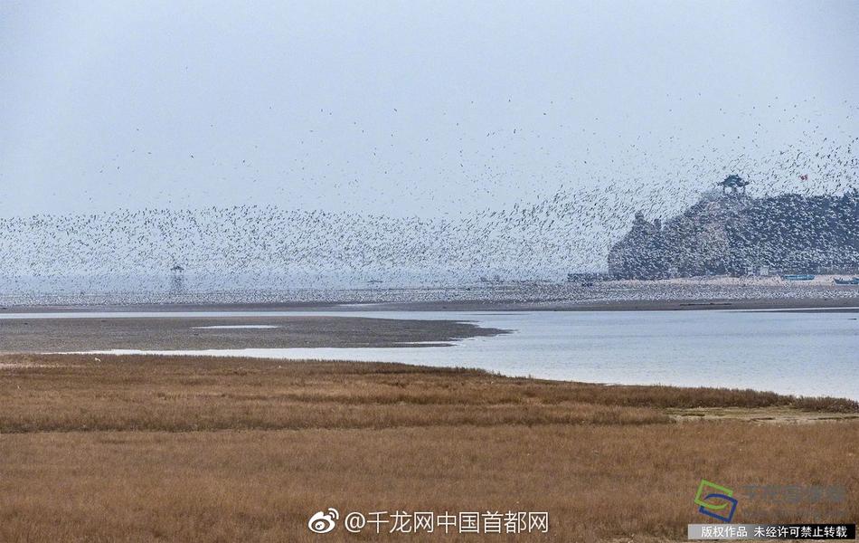 李丽珍裸照