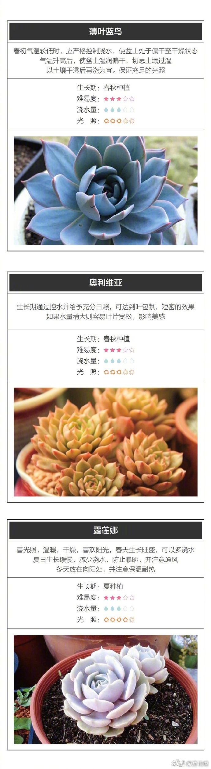 高潮喷水Hd Video